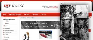 Han gick från hobbyviking till E-handelskung