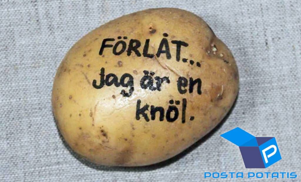 Grundaren av e-handeln Posta Potatis talar ut